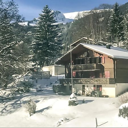 Bussalp Apartment - Aare Jungfrau Ag Grindelwald Eksteriør billede
