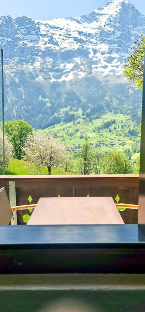 Bussalp Apartment - Aare Jungfrau Ag Grindelwald Eksteriør billede