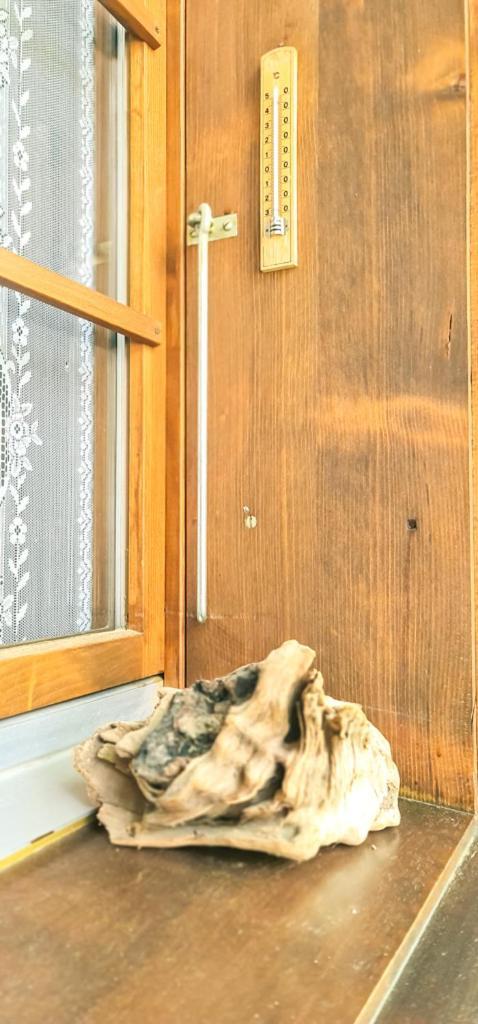 Bussalp Apartment - Aare Jungfrau Ag Grindelwald Eksteriør billede